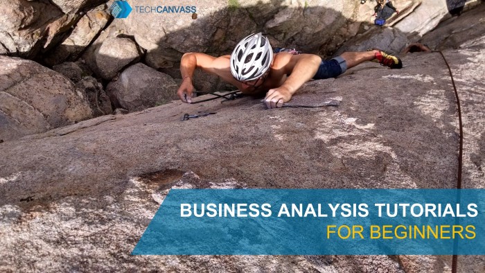 Business analysis tutorials for beginners TN