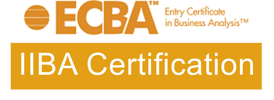 Business Analyst Certification for beginners - ECBA Sns-Brigh10