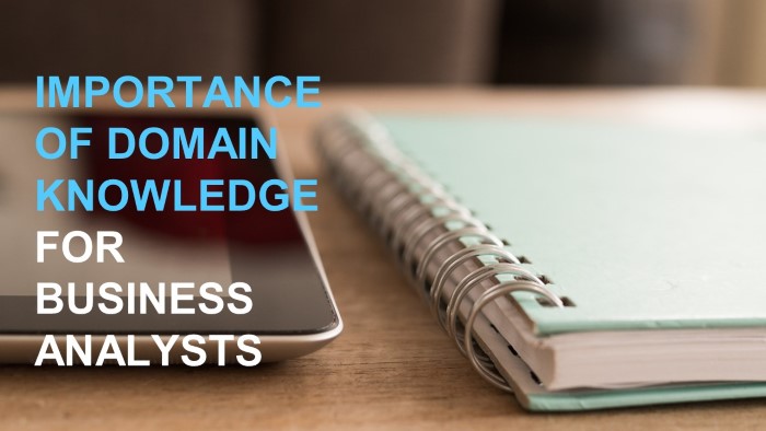 domain knowledge for business analysts
