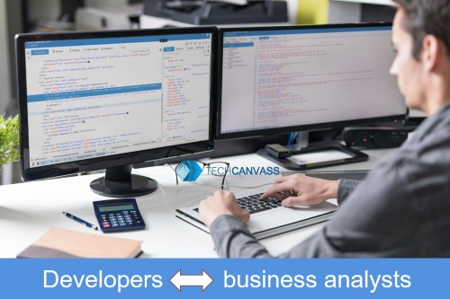 Why need business analysts
