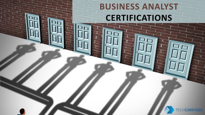 Business Analyst Certifications