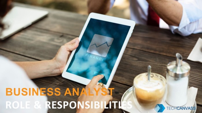 Business Analyst role and responsibilities TN