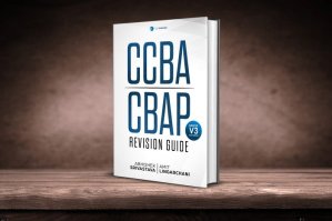 BABOK v3 Revision Guide