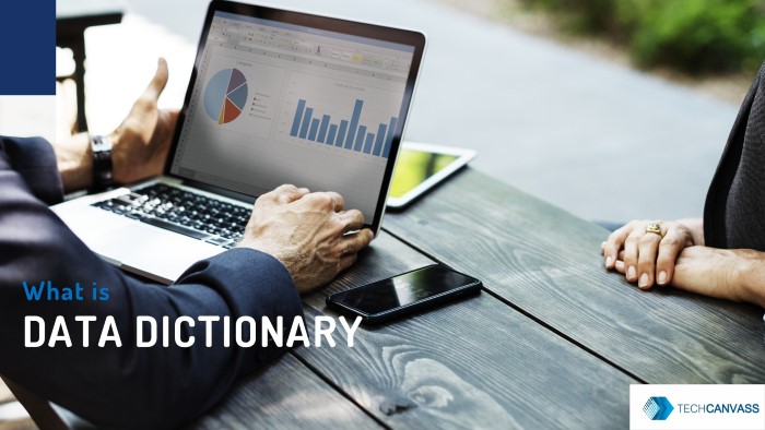 CBAP Tutorial - Data Dictionary