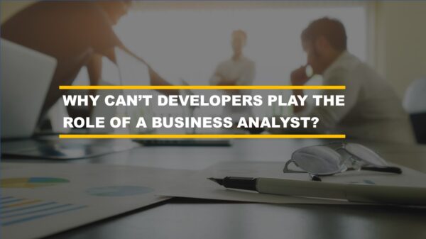 Why cant developers play the role of a business analyst