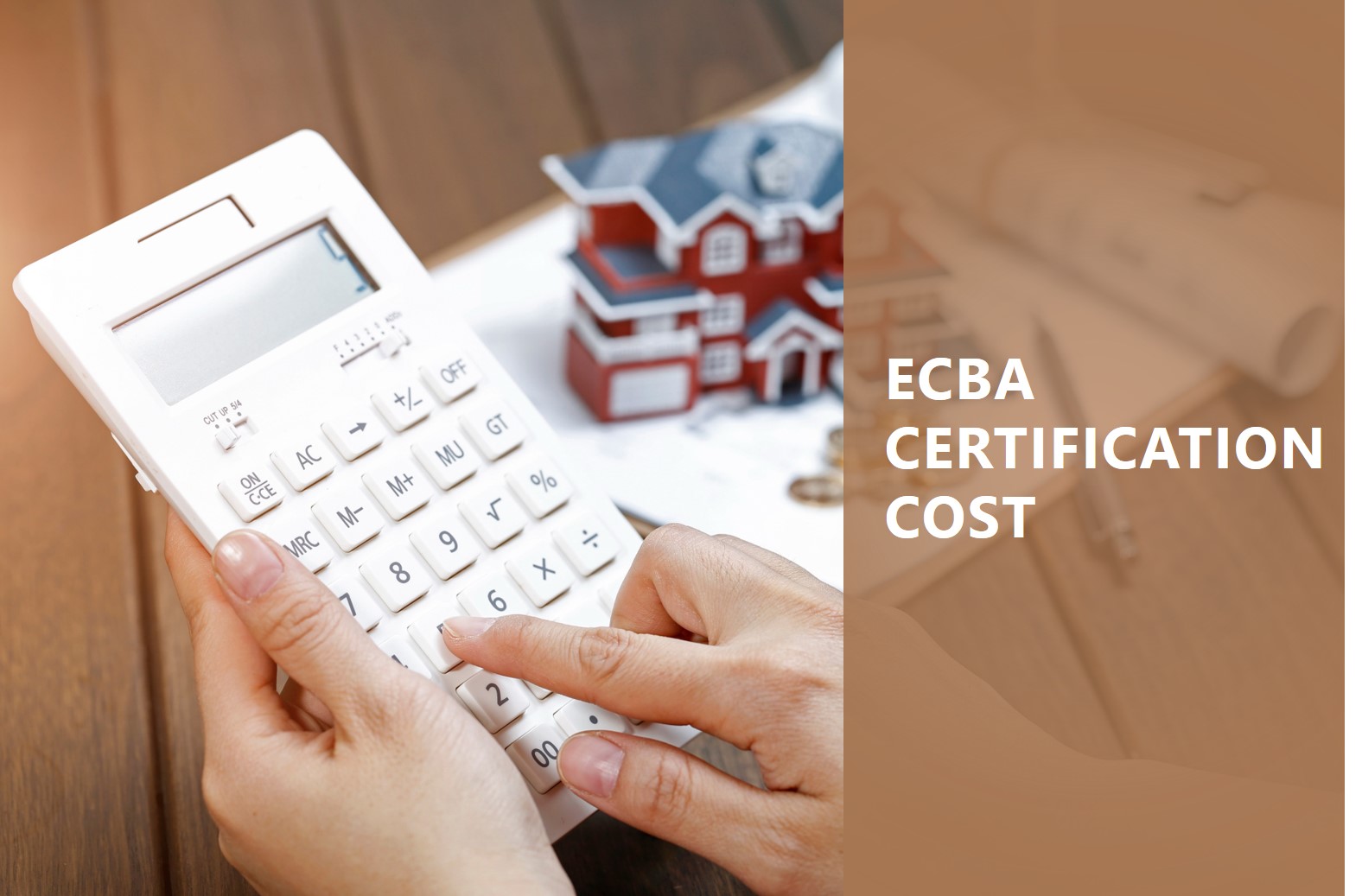 ECBA Certification Cost