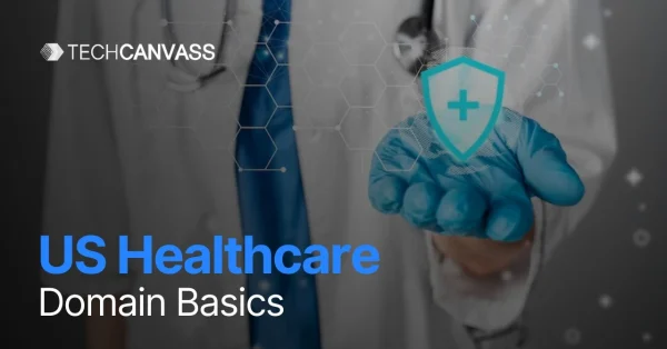 US healthcare domain basics