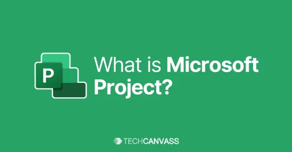 What is ms project software