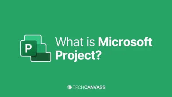 What is ms project software