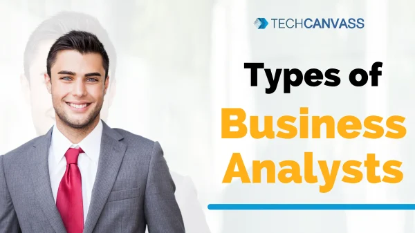 Types of Business Analysts