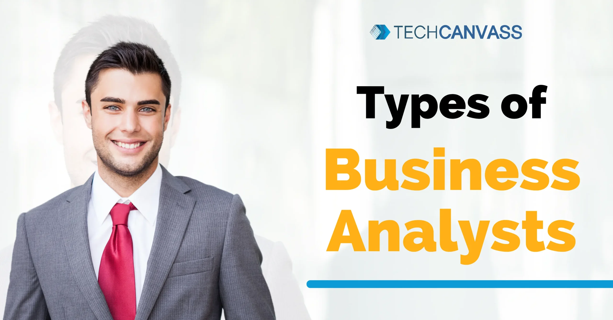 Types of Business Analysts