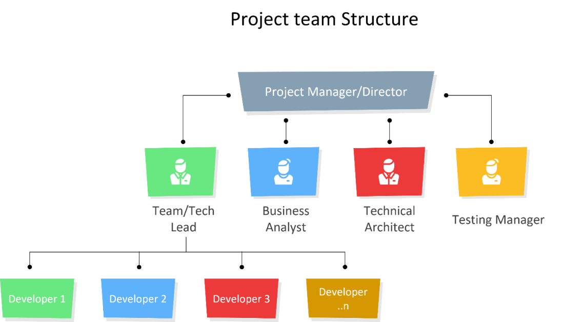 Project team Structure