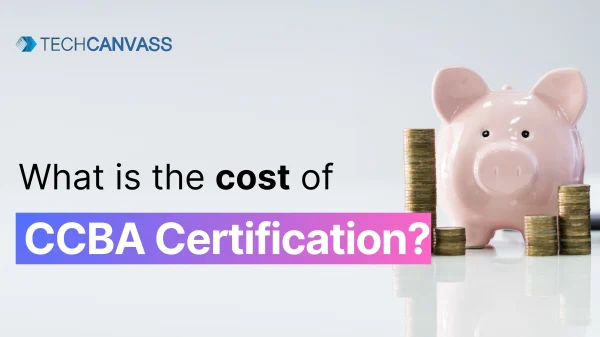 Cost of CCBA Certification