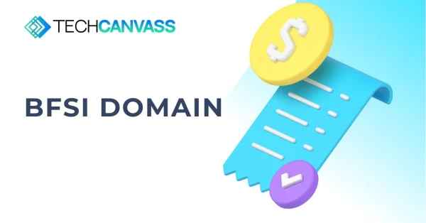 What is BFSI Domain