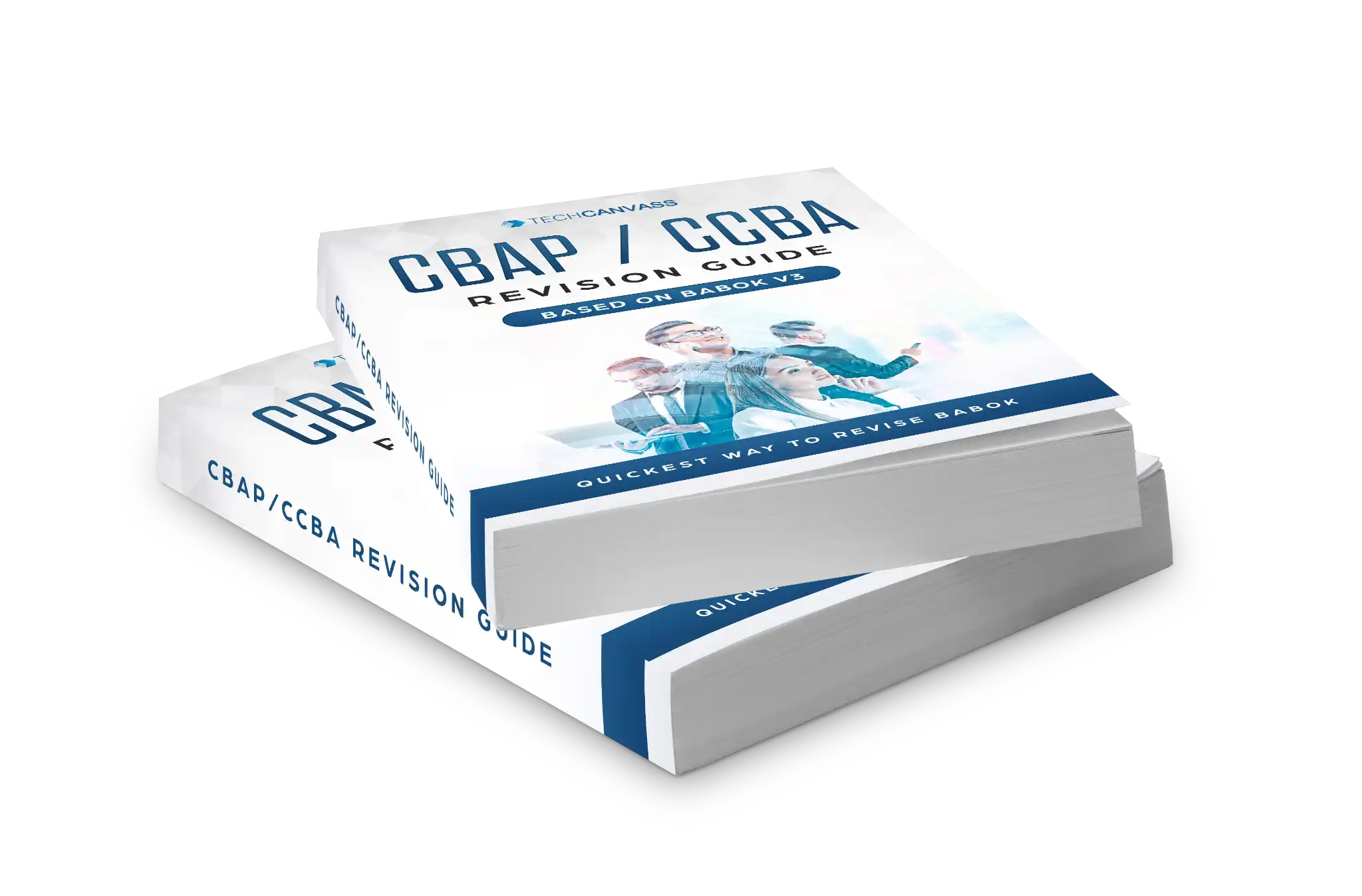 CBAP CCBA Revision Guide book image